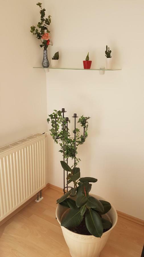 Evi'S Apartment Regensburg Dış mekan fotoğraf